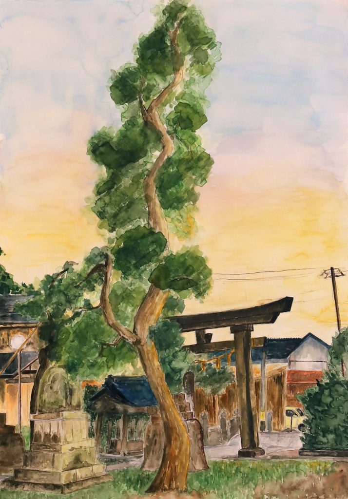 「八幡様の松の木」第三中学校　２年　横山　結菜